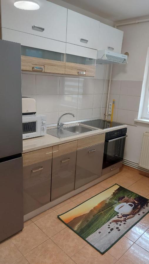 Apartament Garsoniera Bia Braszów Zewnętrze zdjęcie