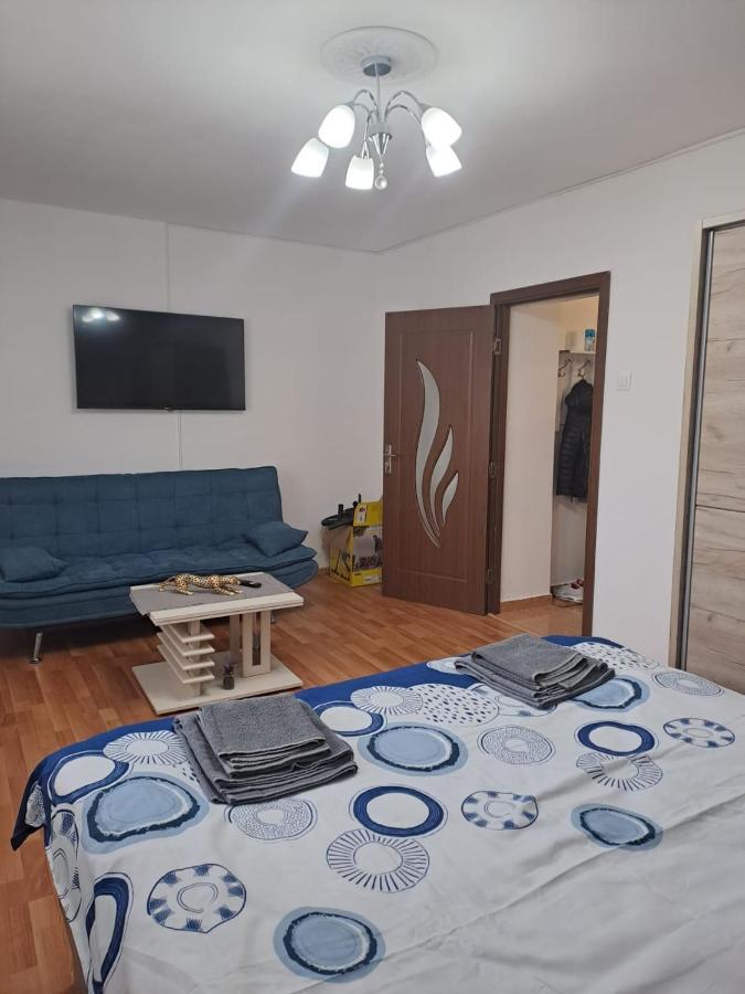 Apartament Garsoniera Bia Braszów Zewnętrze zdjęcie