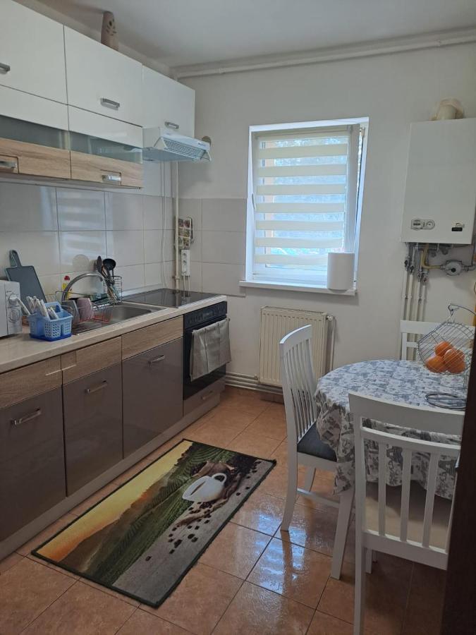 Apartament Garsoniera Bia Braszów Zewnętrze zdjęcie